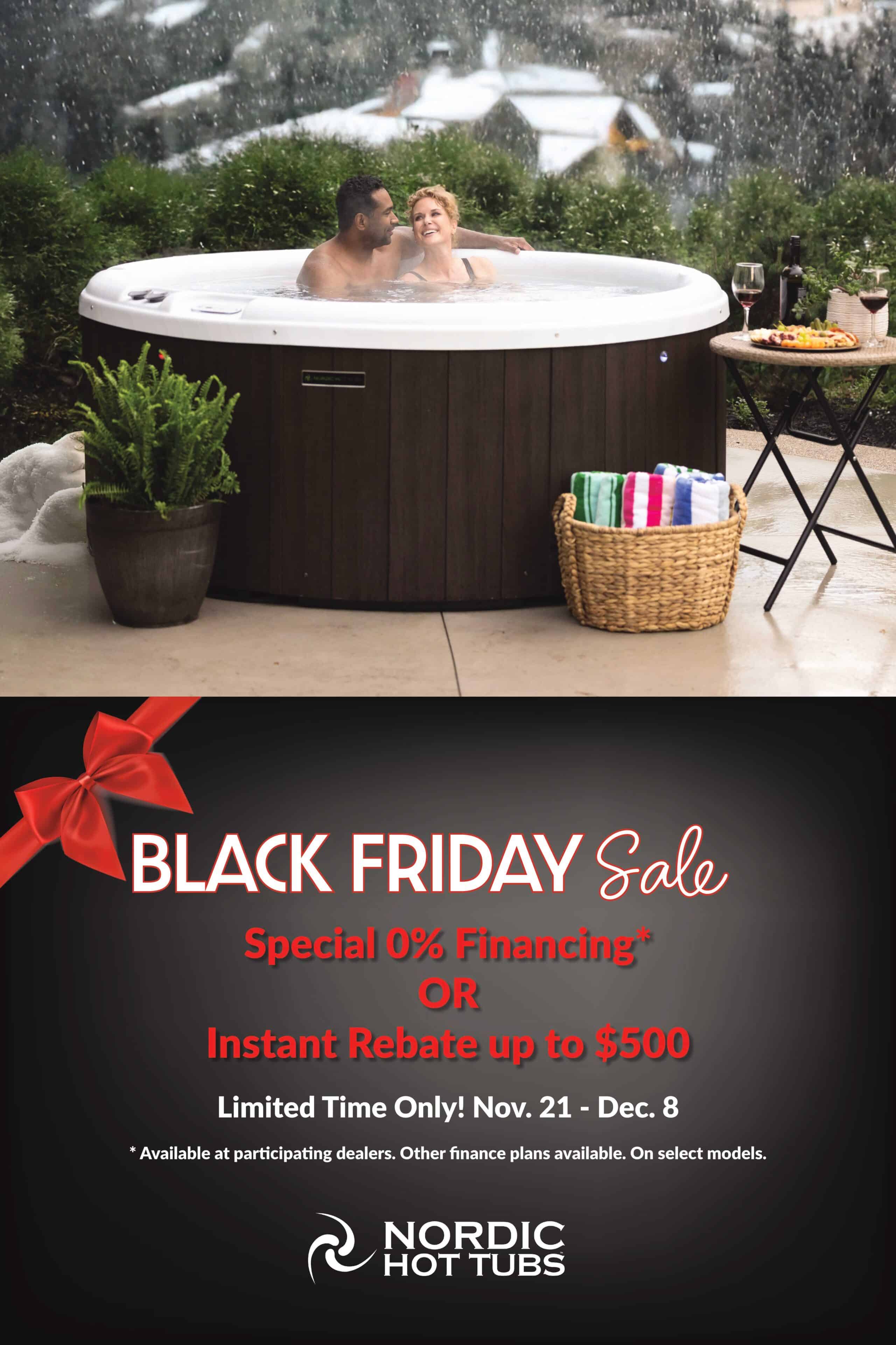 Black Friday Promo (Poster 24x36) (1)